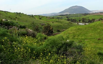 March Travel Guide: Tavor Stream in the Galilee