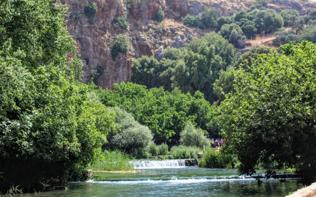 July Travel Guide: Beyond Banias