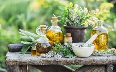 Use of Herbal Medicine Is on the Rise