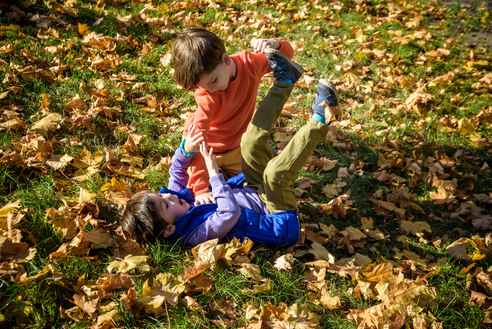 When Our Kids Fight: How and When to Intervene